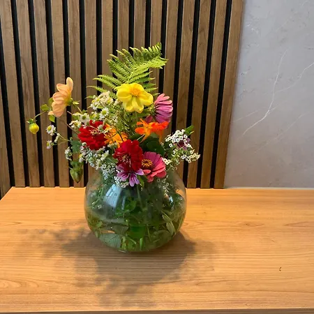 Premium Design, Renovated 2024 Free Parking * Riga